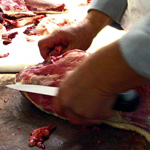 Cliquer pour agrandir